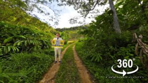 Penang High Elevation Agricultural Flat Land In Sungai Rusa Balik Pulau By Penang Raymond Loo 0194107321 019-4107321