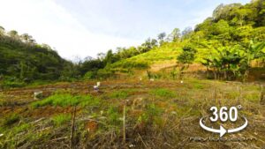 Penang High Elevation Agricultural Flat Land In Sungai Rusa Balik Pulau By Penang Raymond Loo 0194107321 019-4107321