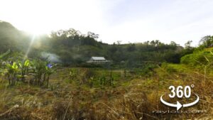 Penang High Elevation Agricultural Flat Land In Sungai Rusa Balik Pulau By Penang Raymond Loo 0194107321 019-4107321