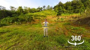 Penang High Elevation Agricultural Flat Land In Sungai Rusa Balik Pulau By Penang Raymond Loo 0194107321 019-4107321