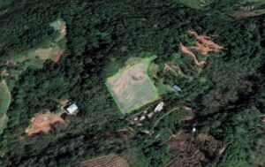 Penang High Elevation Agricultural Flat Land In Sungai Rusa Balik Pulau By Penang Raymond Loo 0194107321 019-4107321